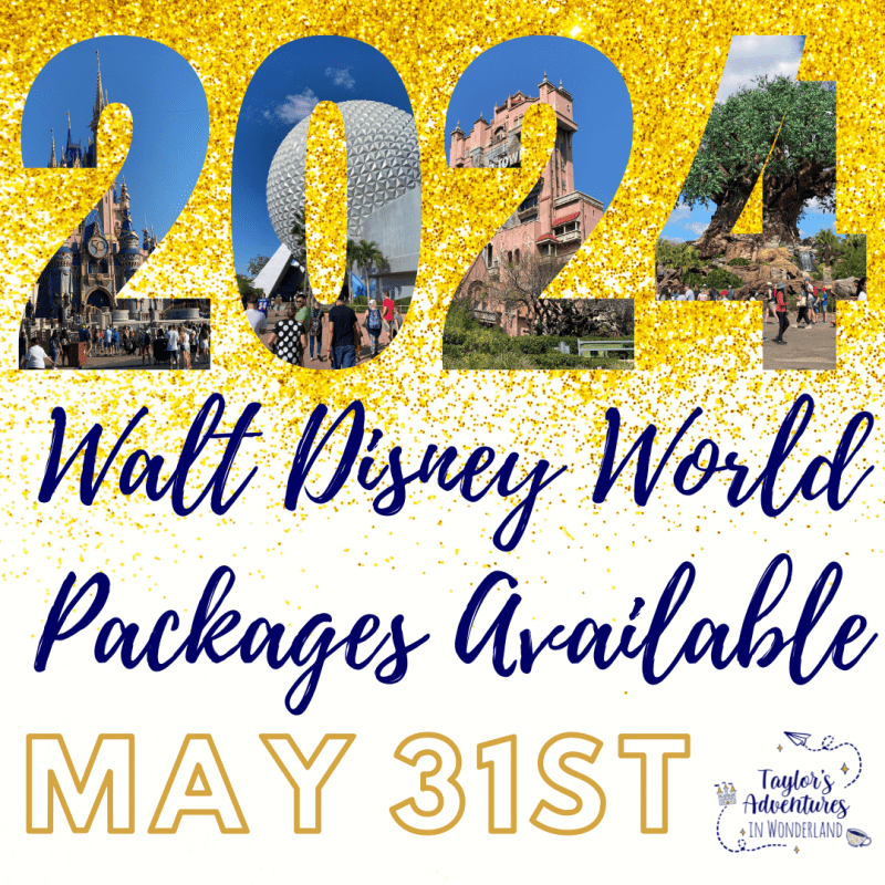 2024 Walt Disney World Packages are available to book starting May&nbsp;31st!
